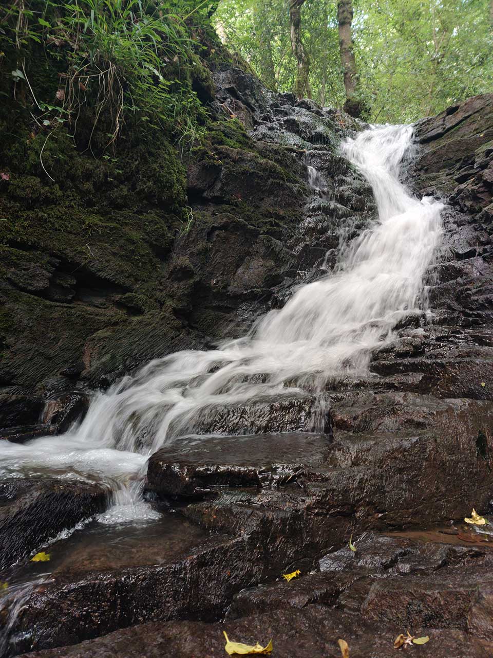 OnePlus 7 Pro camera review: pro mode
