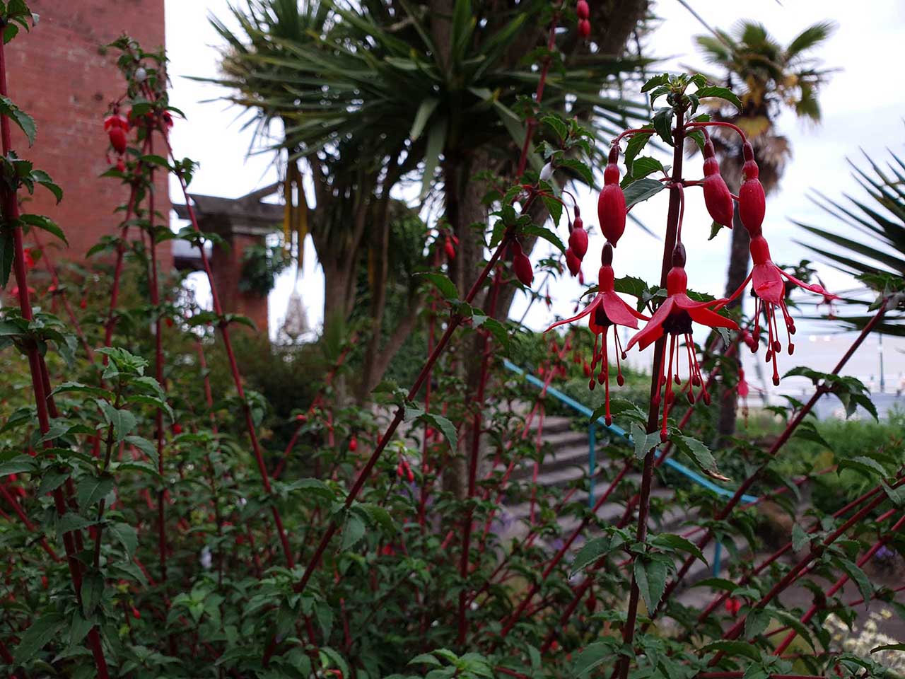 Samsung Galaxy S10 Plus Sample Photos