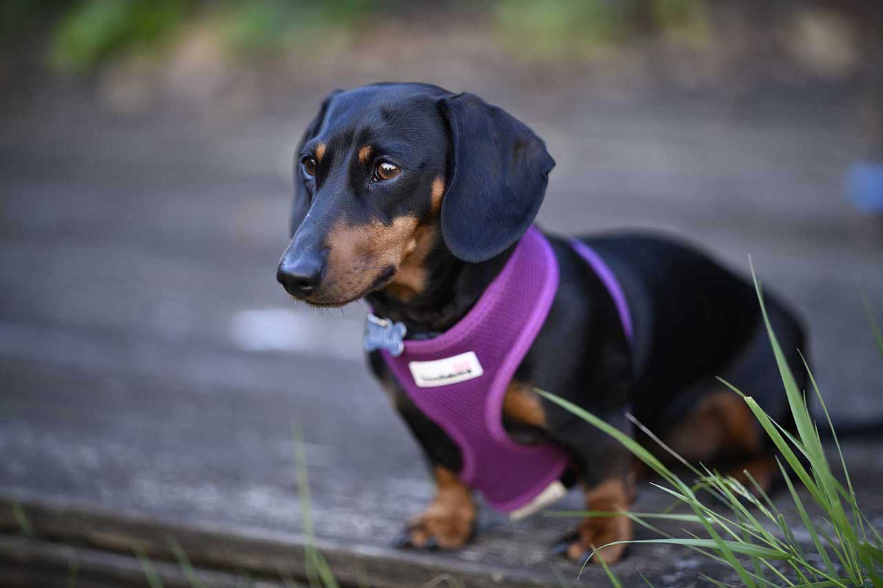 Zeiss Otus 100mm f/1.4 Sample Photos