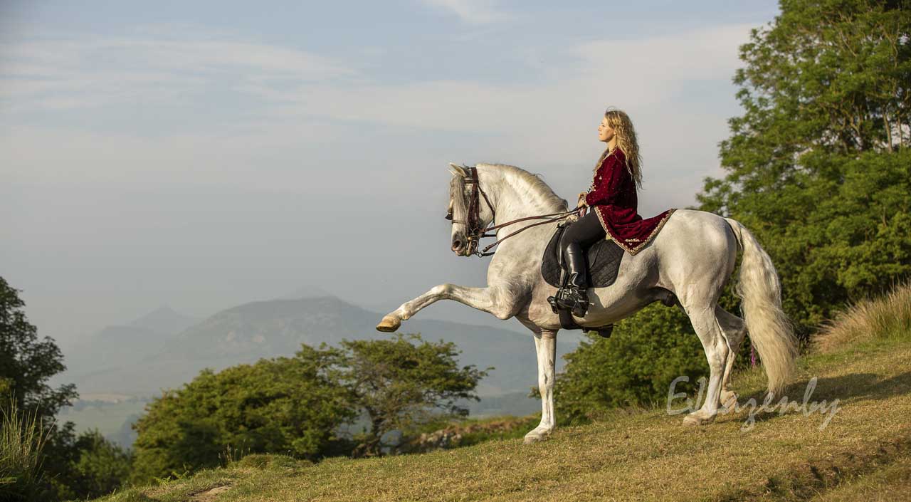 Interview with Pro Fine Art Horse Photographer Jane Lazenby