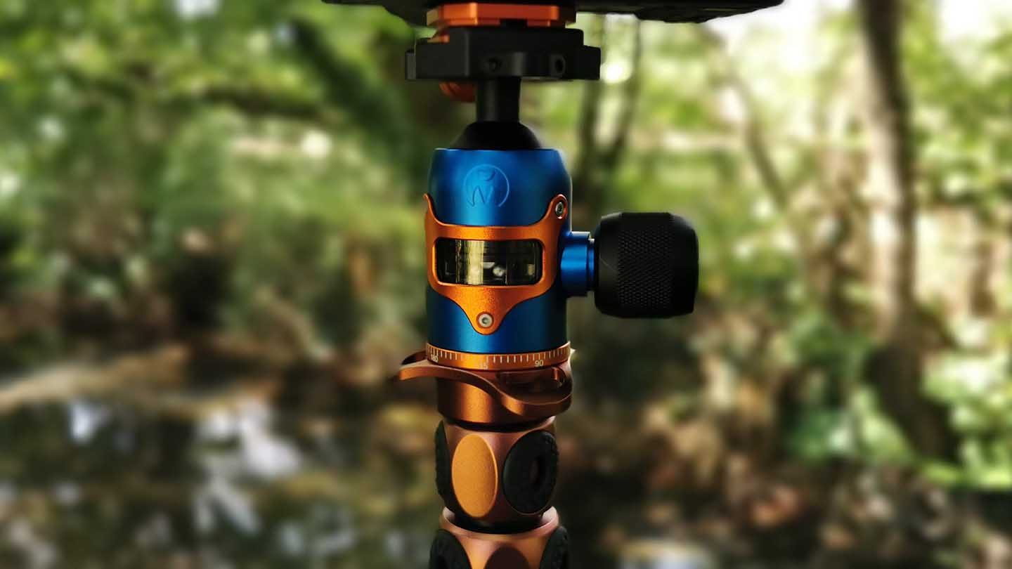 3 Legged Thing Bucky review