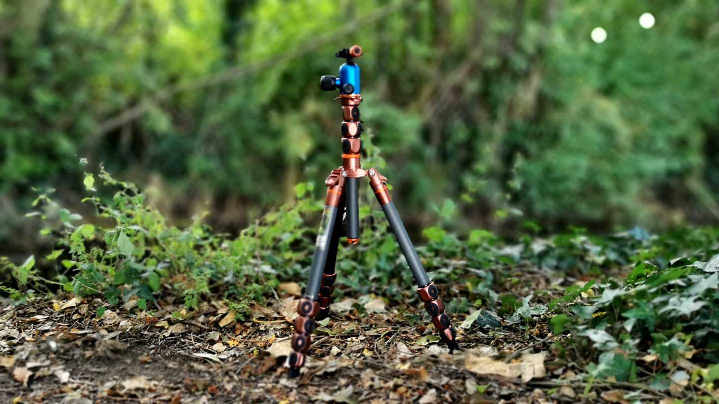 3 Legged Thing Bucky review