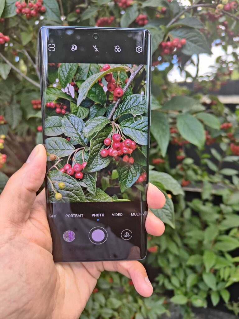 Honor 70 review