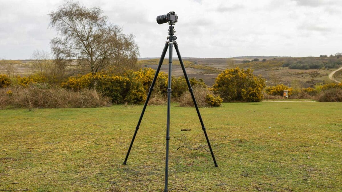 Vanguard VEO 3+ 303AT with column down