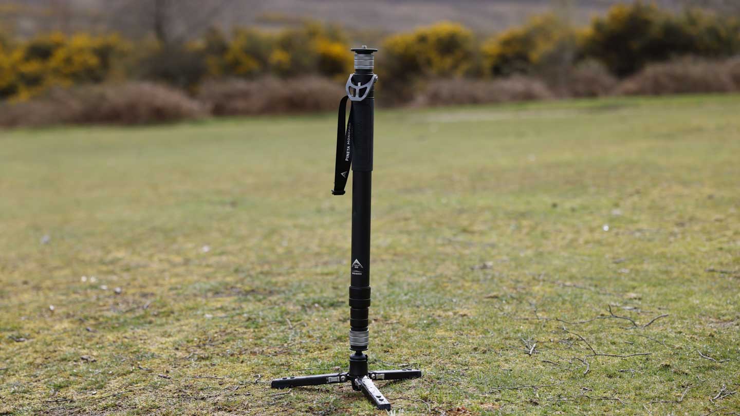 YC Onion PINETA MONOPOD minimum height