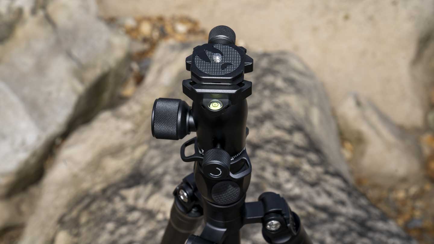 3 Legged Thing Charles 2.0 review