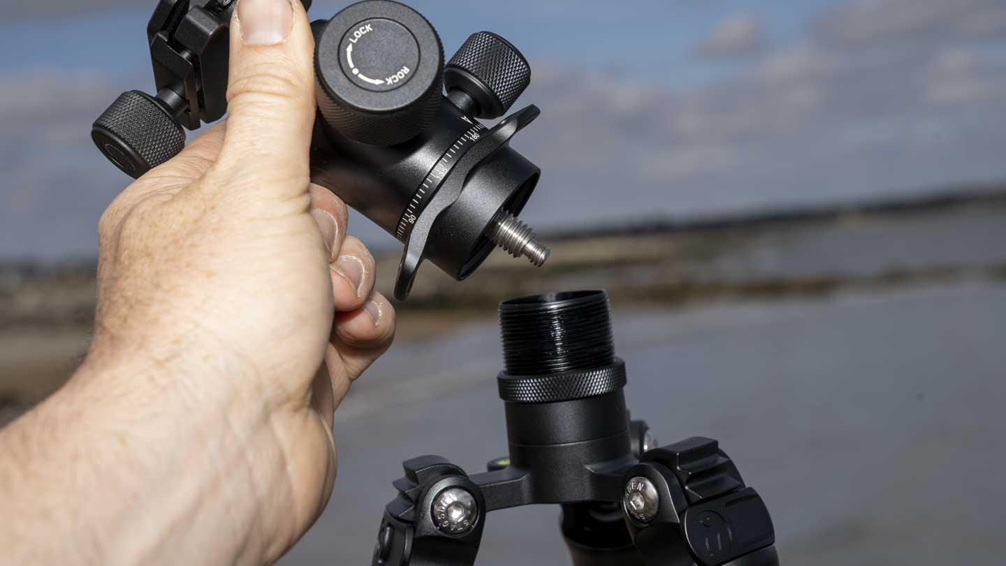 3 Legged Thing Charles 2.0 review
