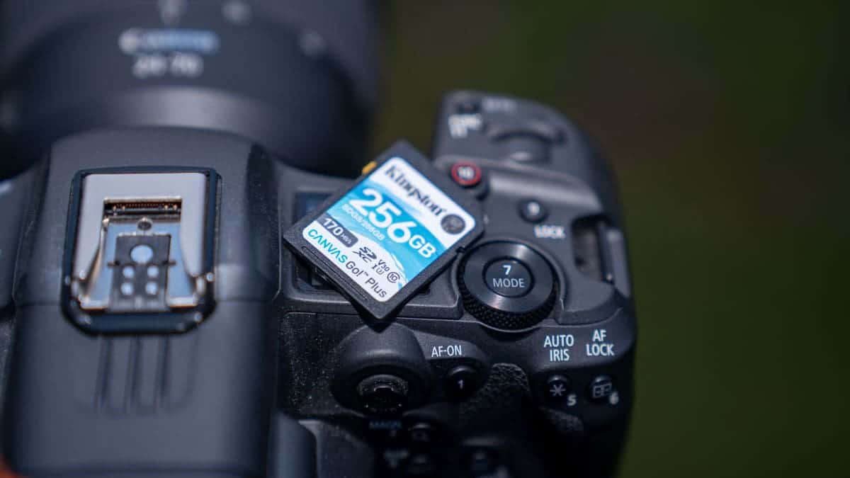 Kingston Canvas Go! Plus 256GB