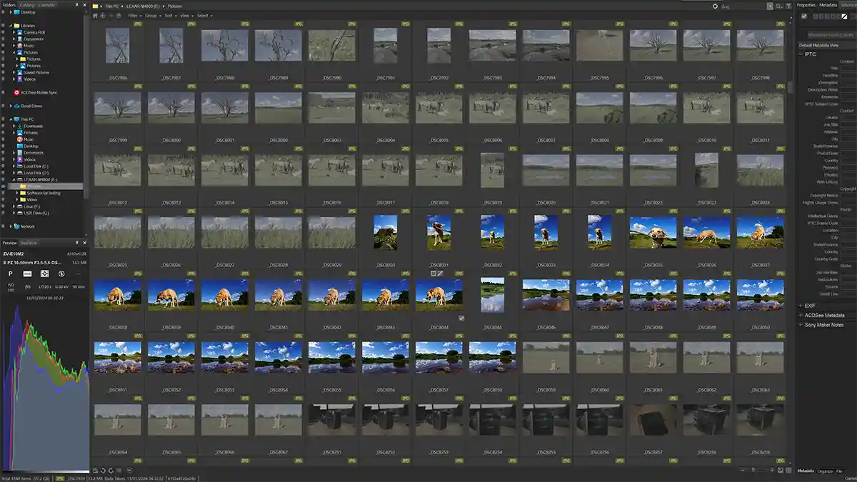 ACDSee Photo Studio Ultimate 2024