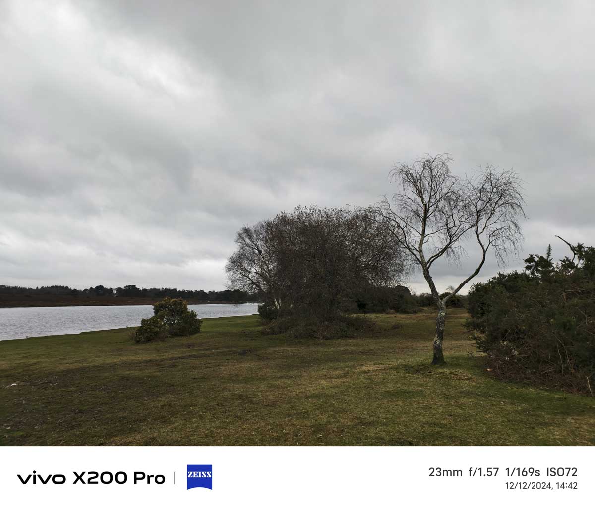 Vivo X200 pro Sample image landscape
