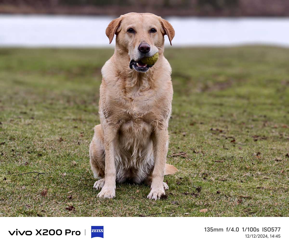 Vivo X200 pro Sample image 135mm