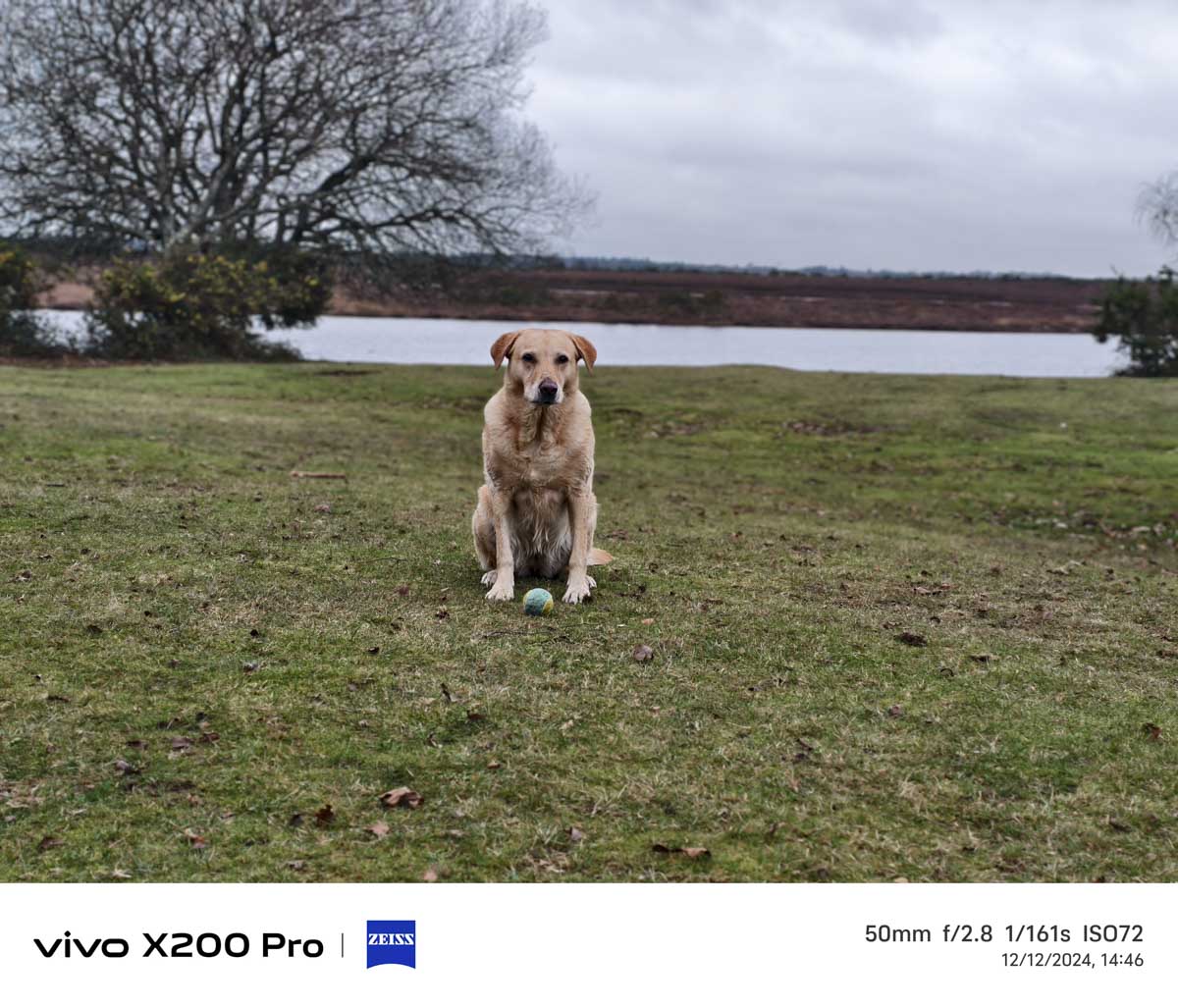 Vivo X200 pro Sample image 50mm
