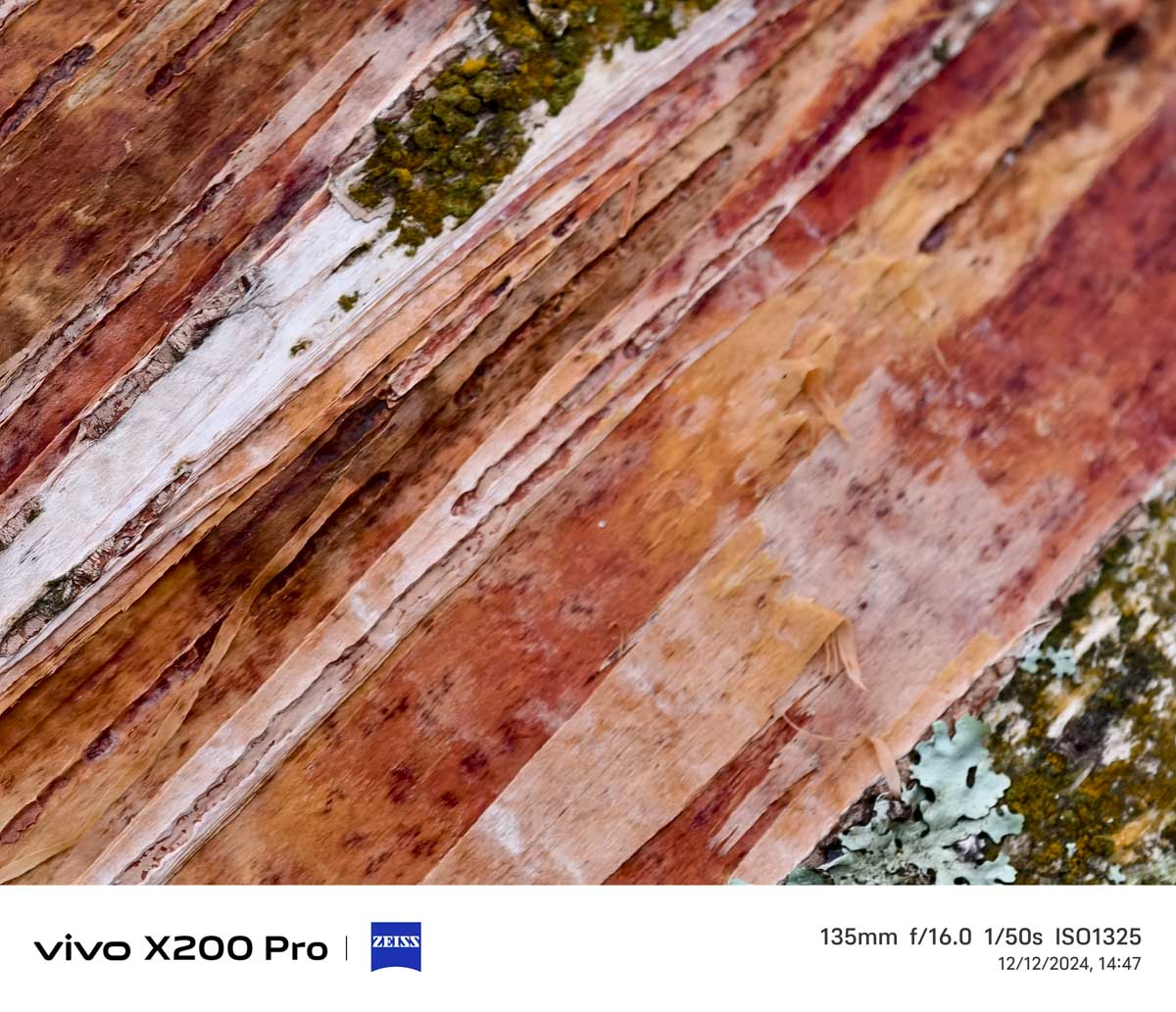 Vivo X200 pro Sample image close up