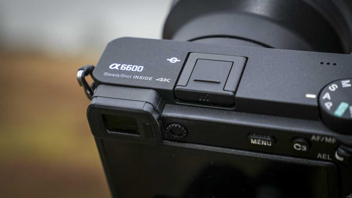 Sony A6600
