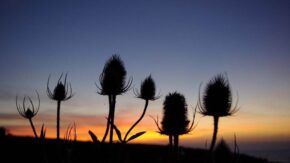 Best camera settings sunsets