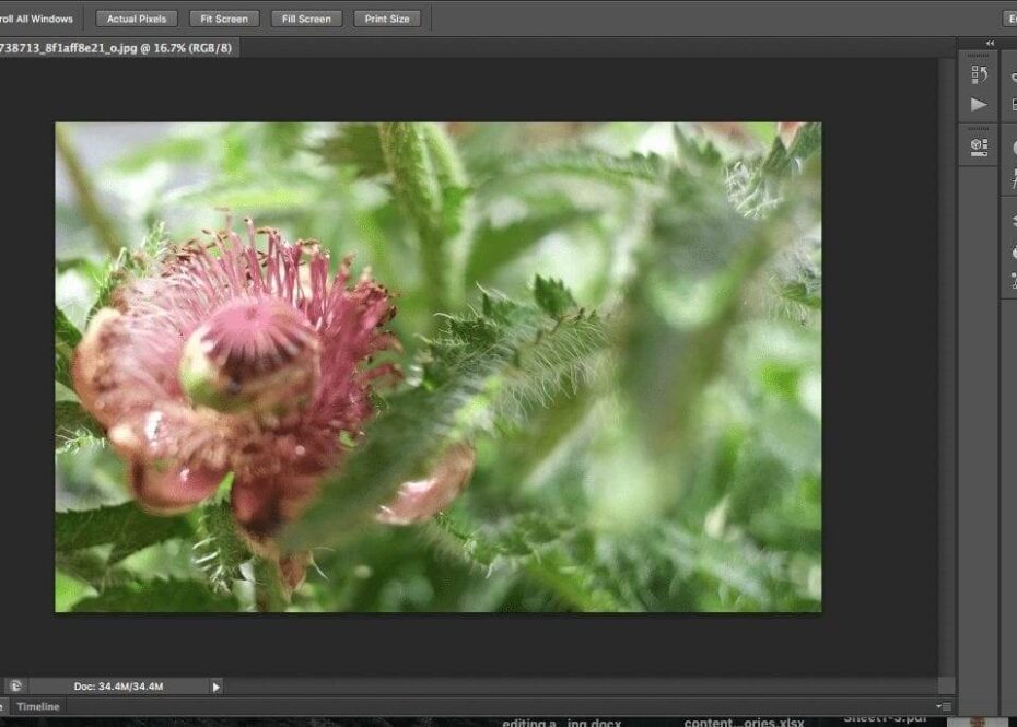 The differences between Lightroom and Photoshop