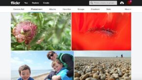 Flickr or 500px: which photo sharing platform should you choose?