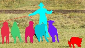 Facebook has released the image identification software it uses to detect faces and objects within users’ photos, the social network has announced.
