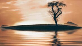 6 photography composition techniques for more creative images