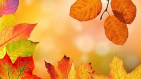 Autumn photography: 03 Compress perspective