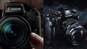 Canon Vs Olympus