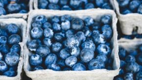 6 quick ways to improve your food photography