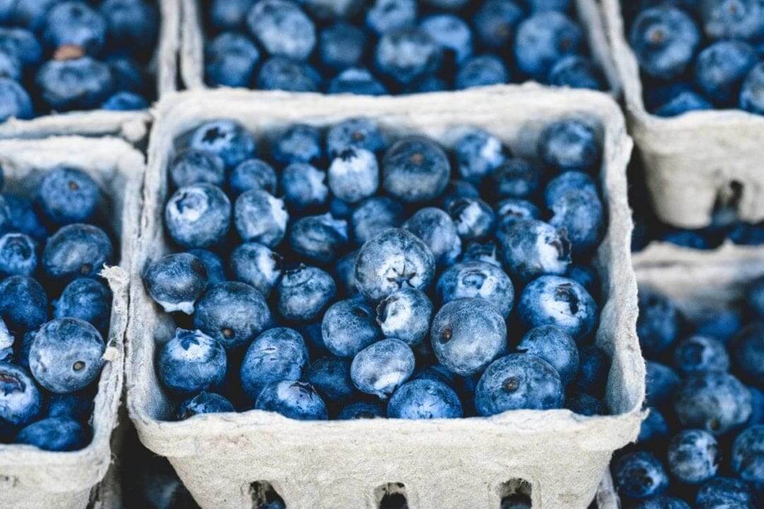 6 quick ways to improve your food photography