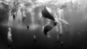 Gallery: 2016 World Press Photo Exhibition comes to London’s Southbank