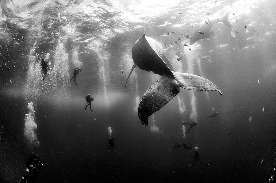 Gallery: 2016 World Press Photo Exhibition comes to London’s Southbank