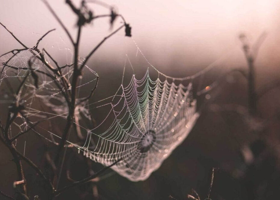 How to shoot autumn photography at home