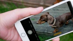 iPhone 7 Plus Camera Review