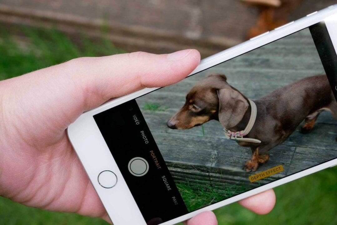 iPhone 7 Plus Camera Review