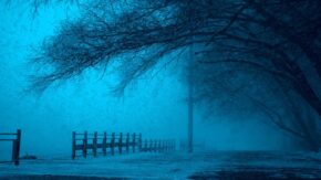 5 ways to keep taking photos outdoors in winter