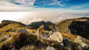 4 reasons why photos are overblown (and how to prevent it)