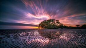 What is a wide-angle lens (and when to use one)