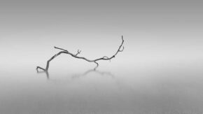 Wex Photographer of the Year 2017 winners revealed