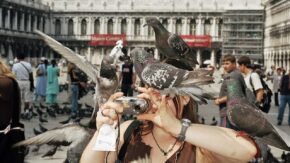 Martin Parr