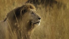How to plan a wildlife photography trip