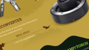 Infographic: essential gear for wildlife photography