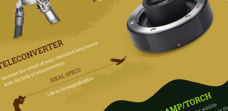 Infographic: essential gear for wildlife photography