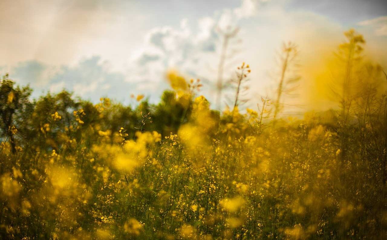 Landscape photography ideas: 9 ways to break the rules for more creative images