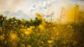 Landscape photography ideas: 9 ways to break the rules for more creative images