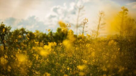 Landscape photography ideas: 9 ways to break the rules for more creative images