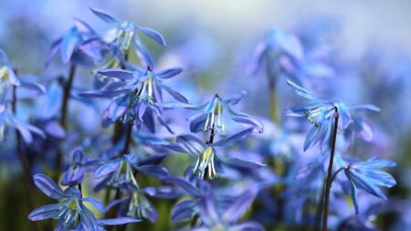 11 quick spring photography tips