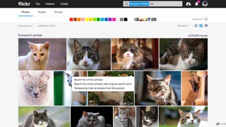 Flickr update lets you search for visually similar photos