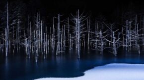 Sony World Photography Awards announces Open, National award winners