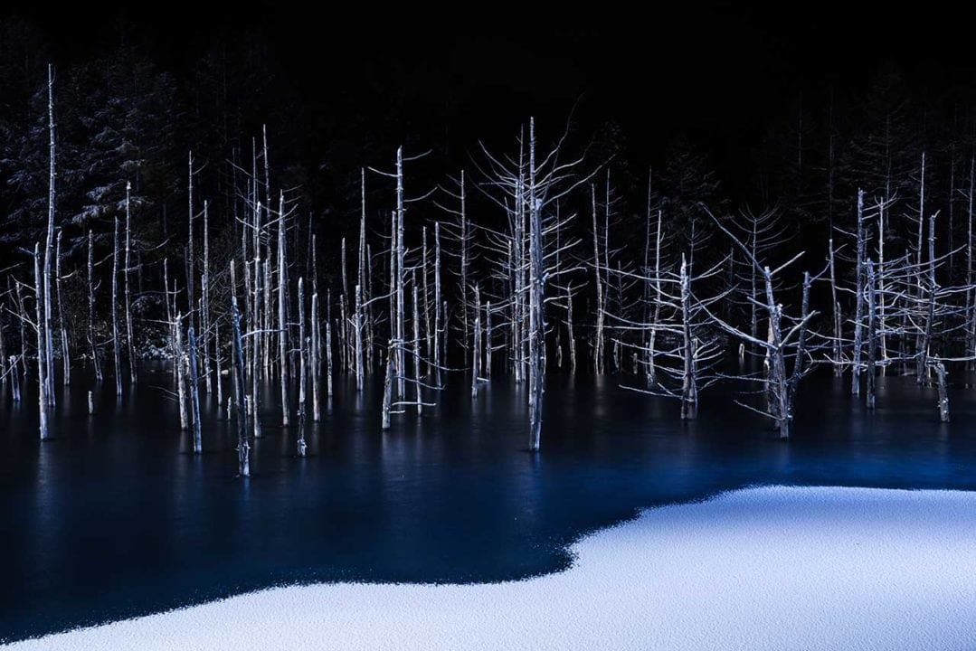 Sony World Photography Awards announces Open, National award winners
