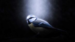 What is a good exposure in photography?