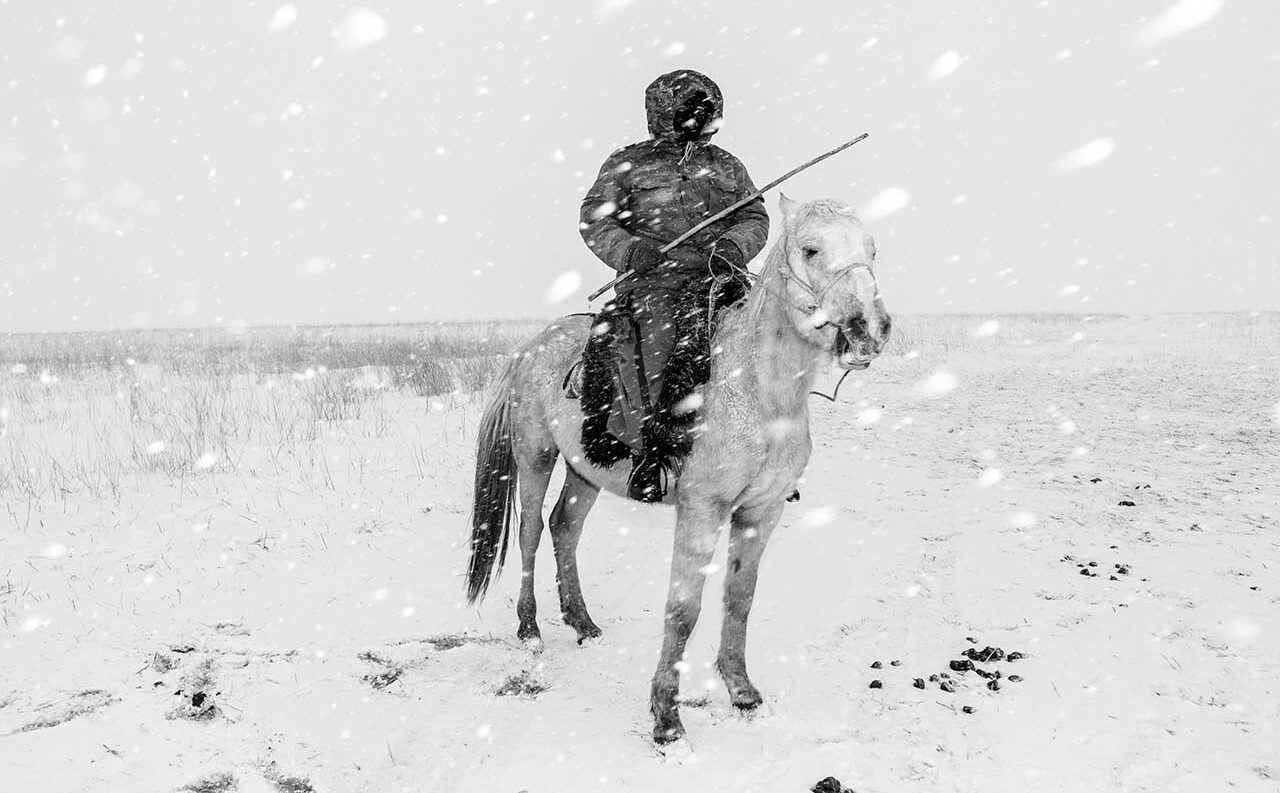 Sony World Photography Awards 2017 winner revealed