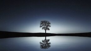 How to photograph a reflection